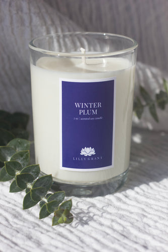 WINTER PLUM